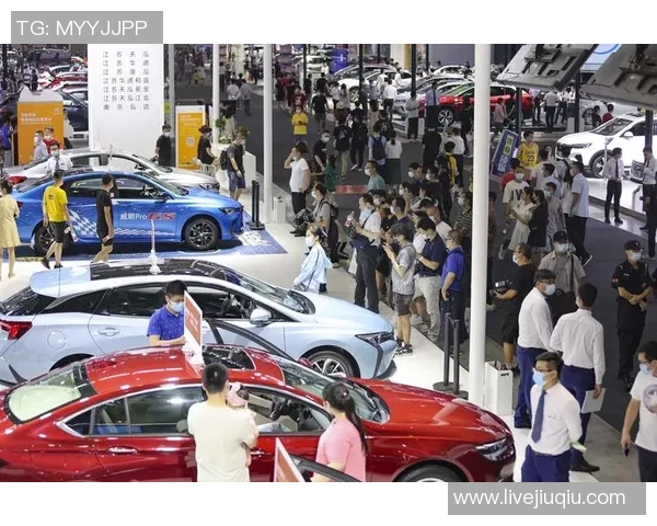 南京乒乓球队力压群雄创下历史新高引发全国关注与热议