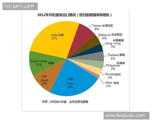 印度尼西亚与毛里求斯的足球对决分析与精彩瞬间回顾