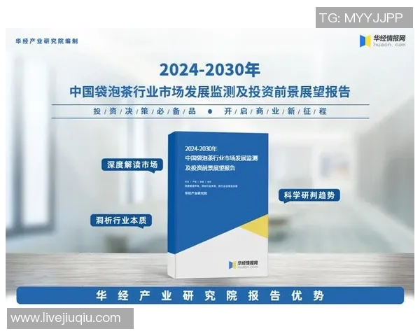 库德人对抗天狼星的战略较量与未来发展展望分析